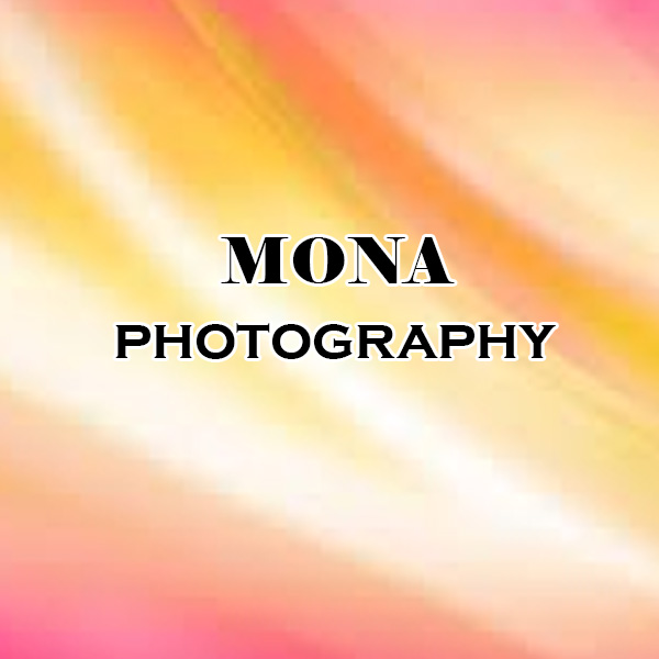 https://www.evnzon.com/service_pic/212/mona-digital-studio-stills-videos-1671363187.jpg