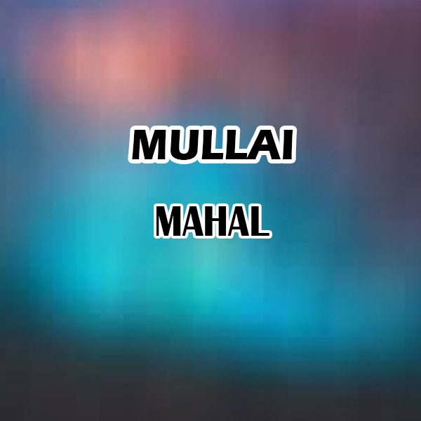 https://www.evnzon.com/service_pic/404/mullai-mahal-1671461805.jpg